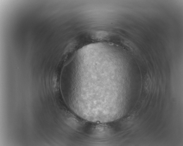 X0000064040420200602031602