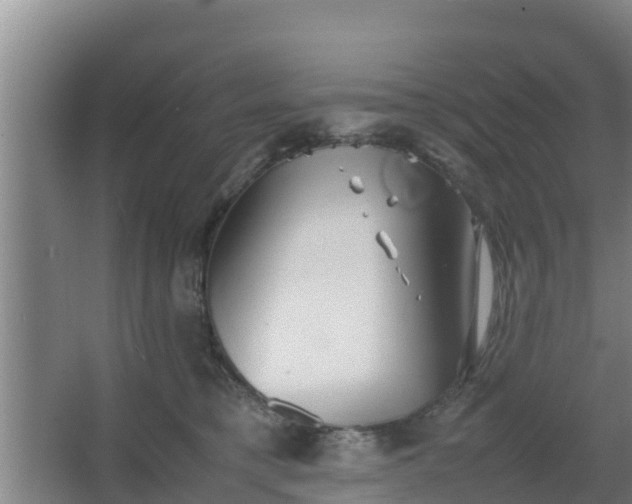 X0000064040421200602031602