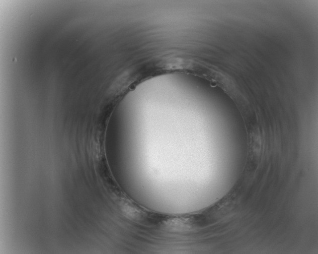 X0000064040422200602031602