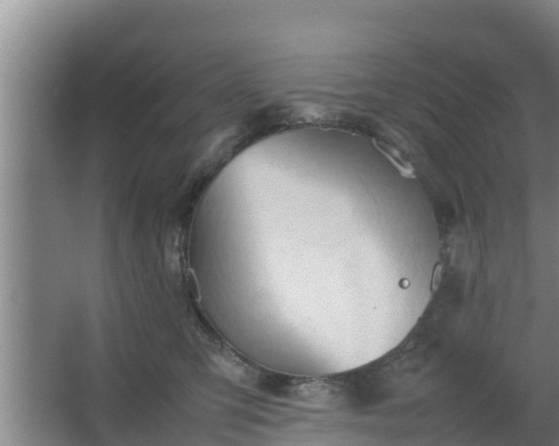 X0000064040423200602031602