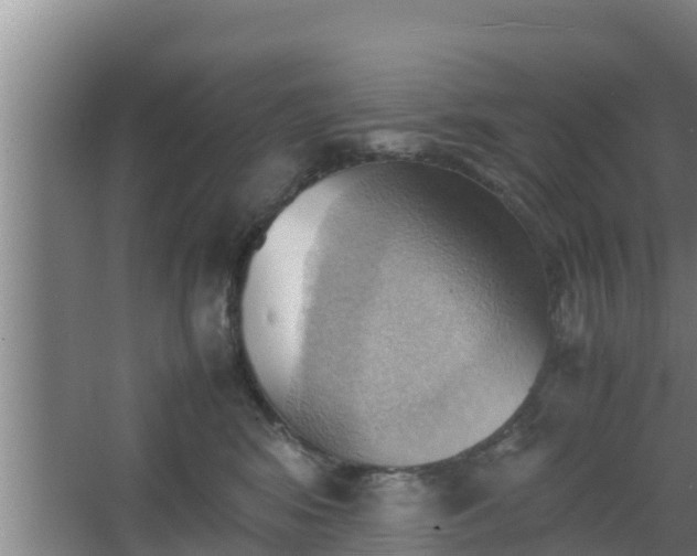 X0000064040424200602031602