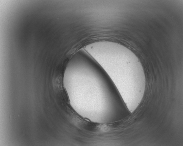 X0000064040425200602031602