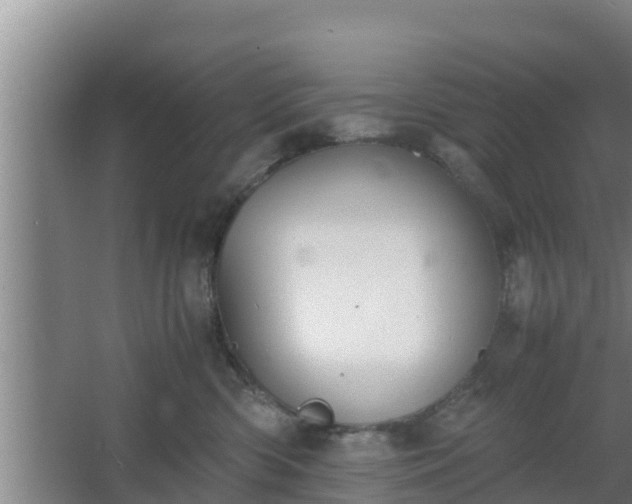 X0000064040426200602031602