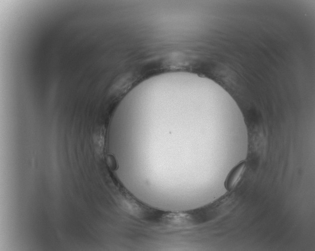 X0000064040427200602031602