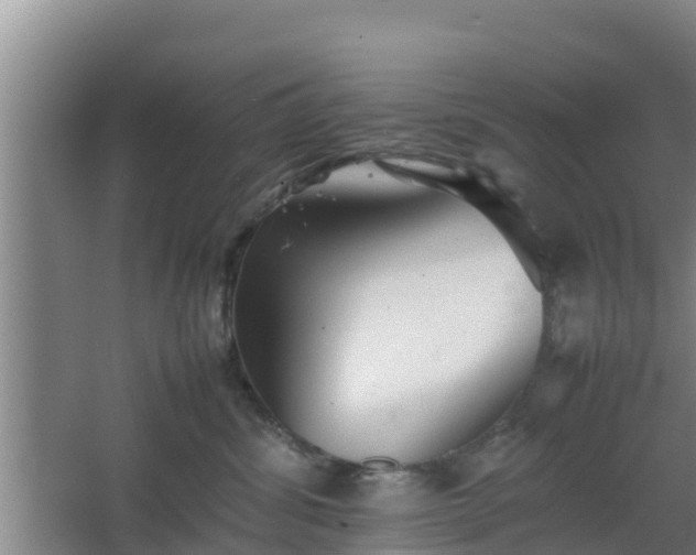 X0000064040428200602031602