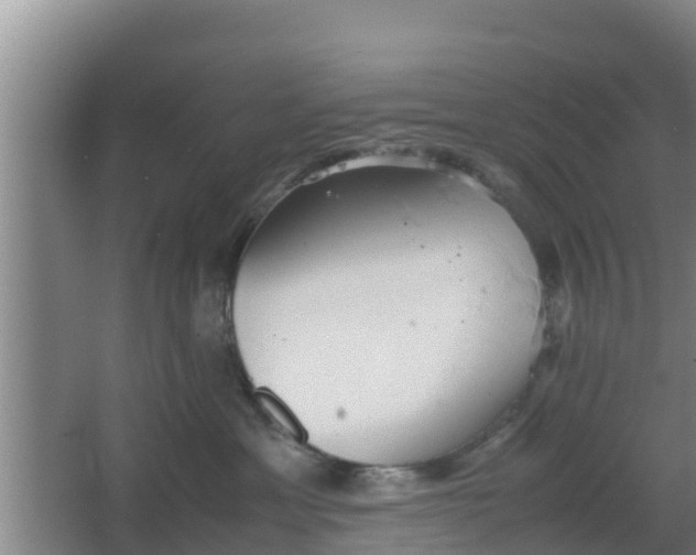 X0000064040429200602031602