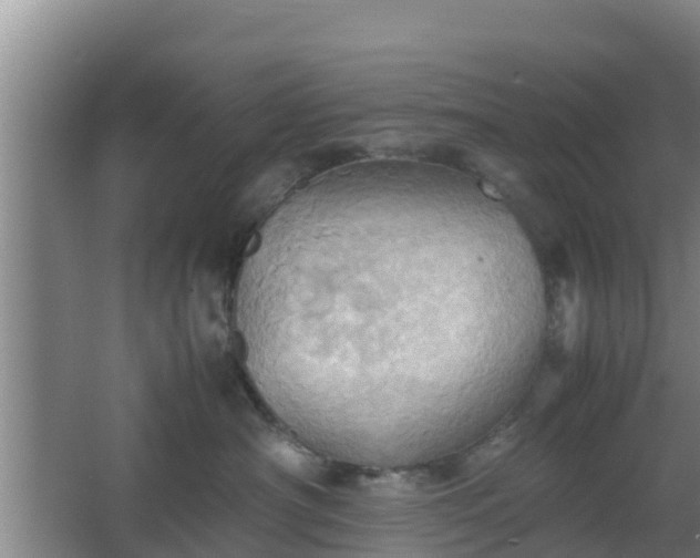 X0000064040430200602031602