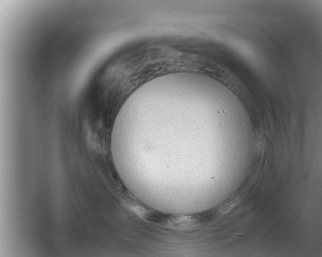 X0000064040431200602031602