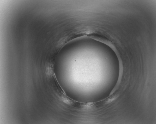 X0000064040432200602031602