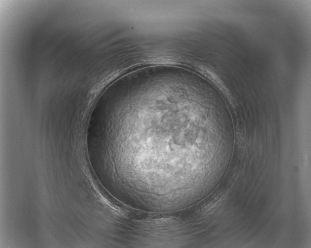 X0000064040433200602031601