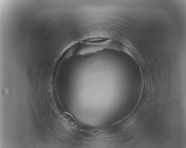 X0000064040434200602031601