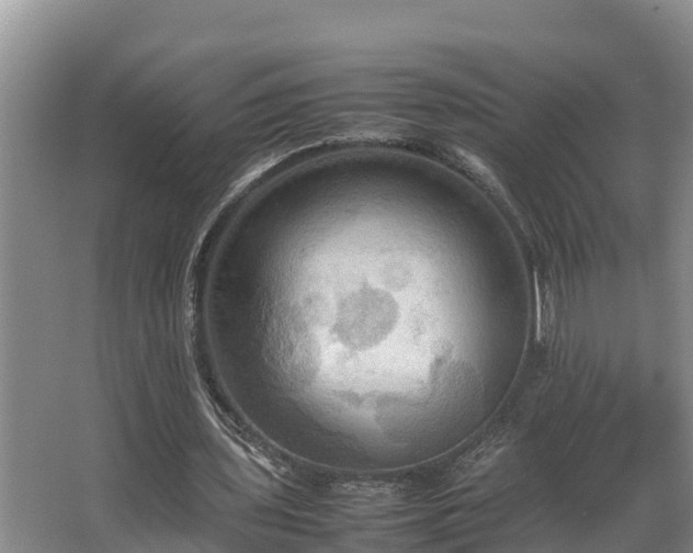 X0000064040435200602031601