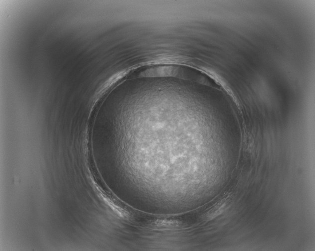 X0000064040437200602031601