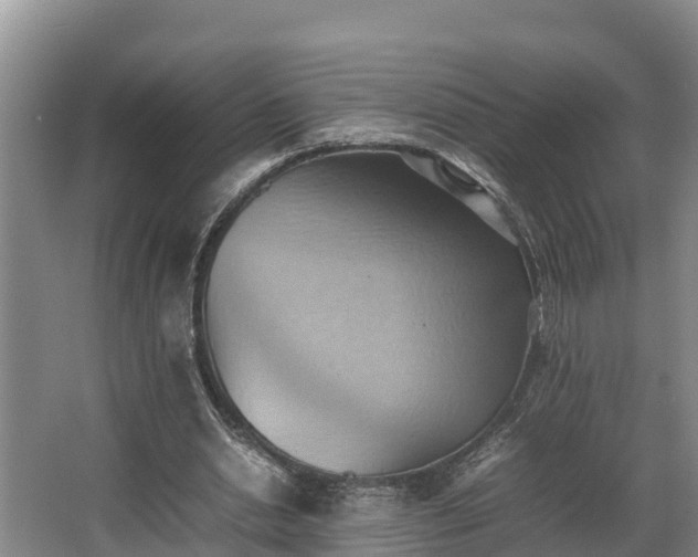 X0000064040438200602031601