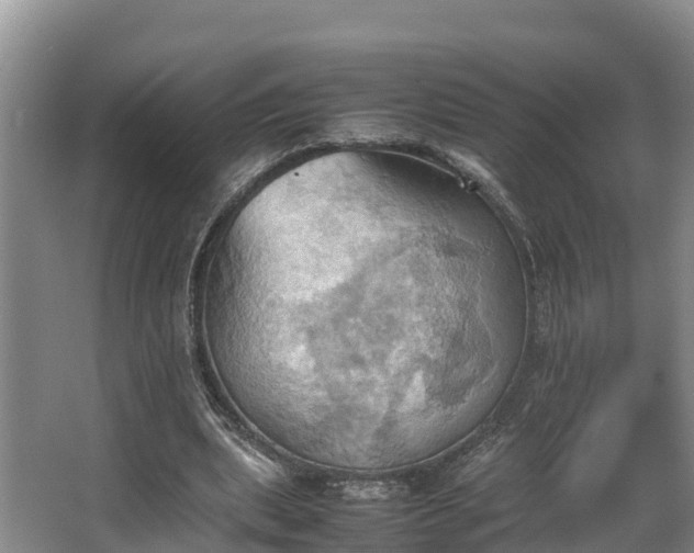 X0000064040439200602031601