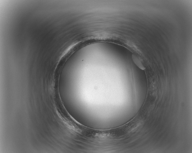 X0000064040440200602031601