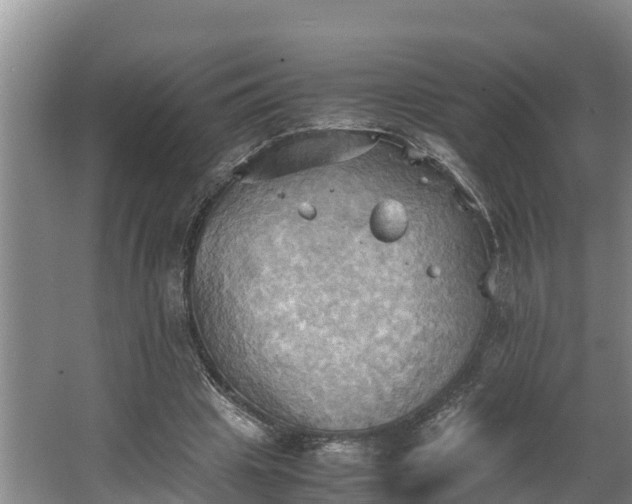 X0000064040441200602031601