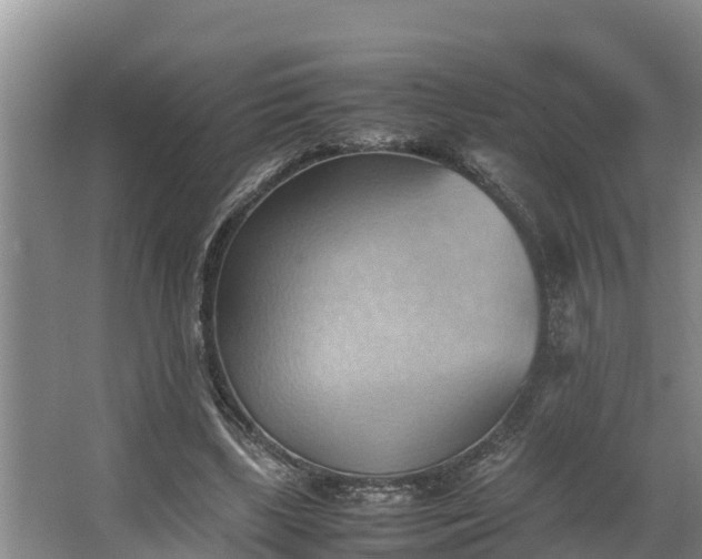 X0000064040443200602031602