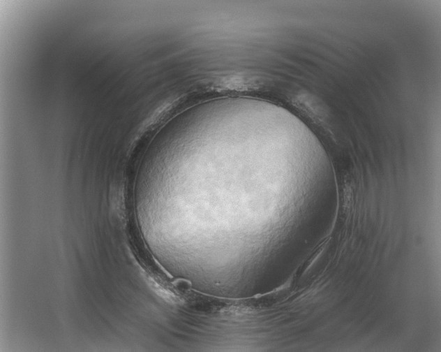 X0000064040444200602031602