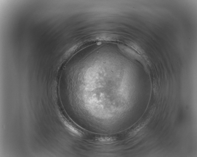 X0000064040445200602031602