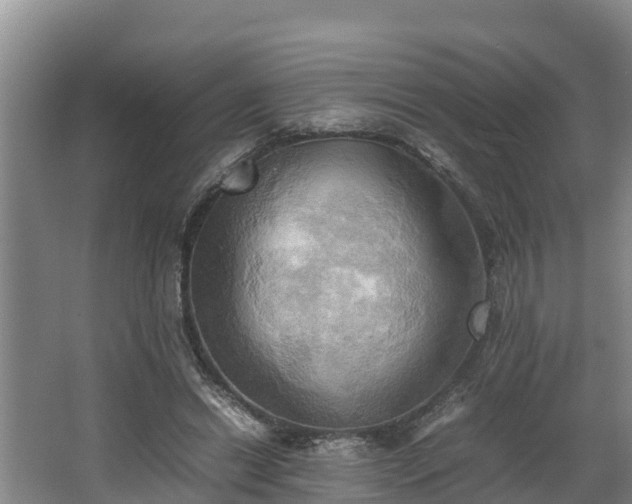 X0000064040446200602031602