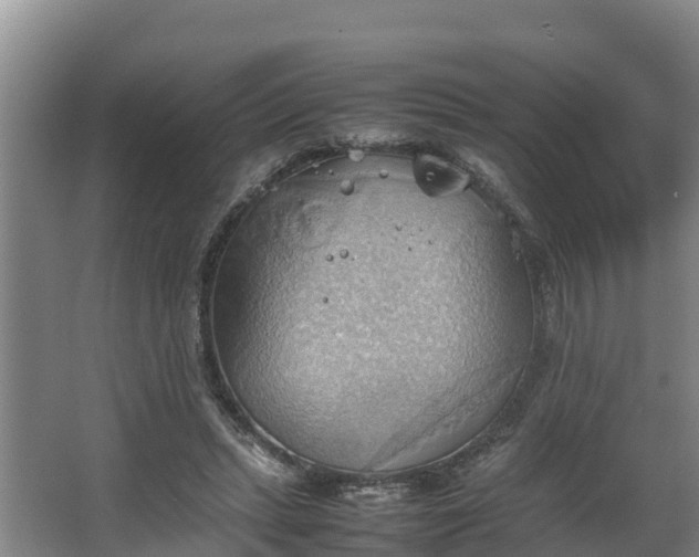 X0000064040447200602031602