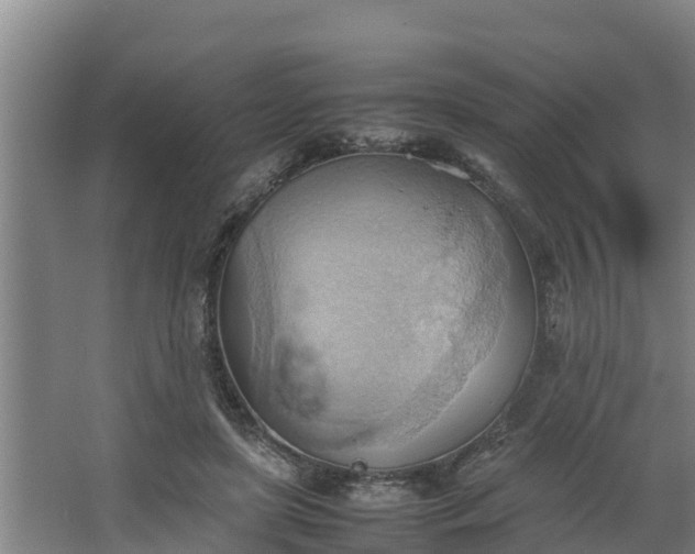 X0000064040451200602031602