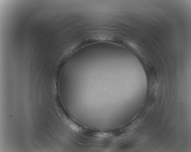 X0000064040453200602031602