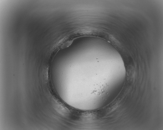 X0000064040454200602031602