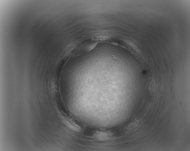 X0000064040455200602031602