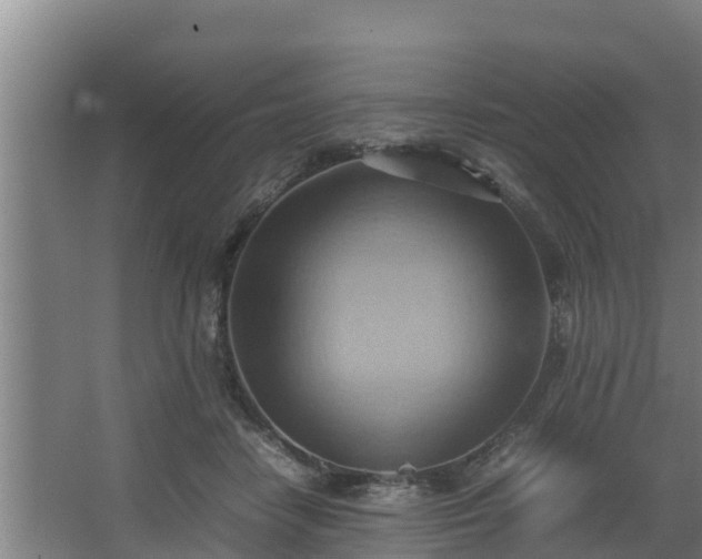 X0000064040458200602031602