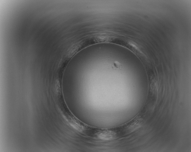 X0000064040459200602031602