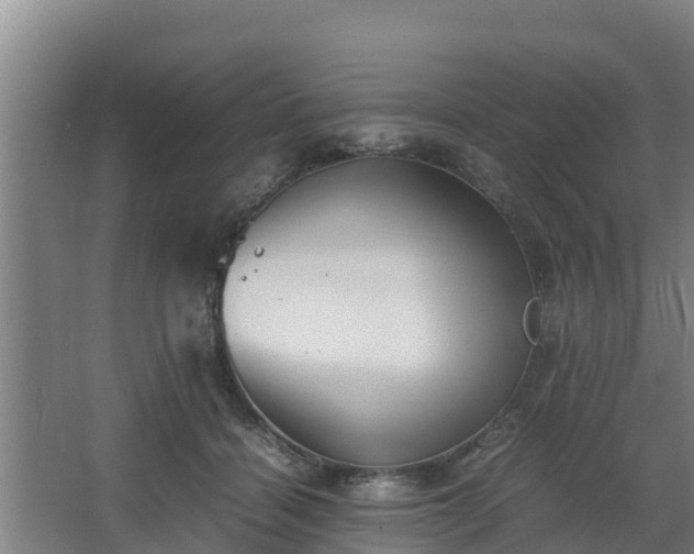 X0000064040460200602031602