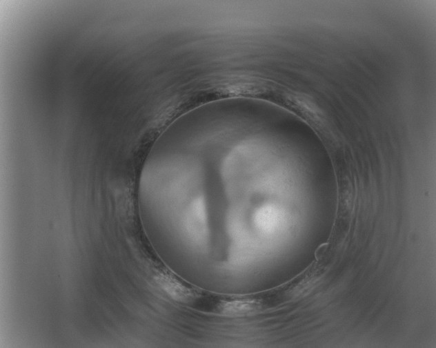 X0000064040461200602031602