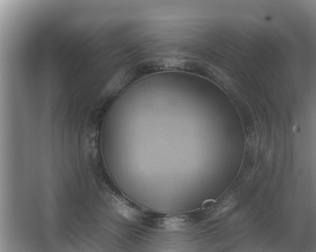 X0000064040462200602031602