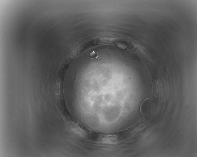 X0000064040463200602031602