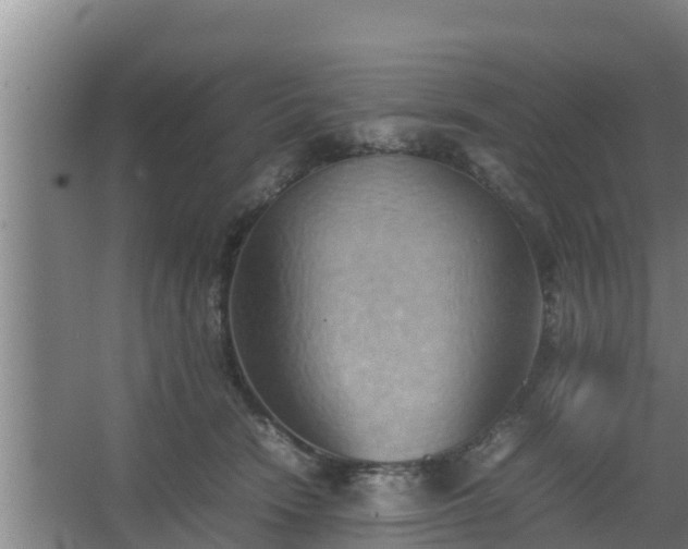 X0000064040466200602031602