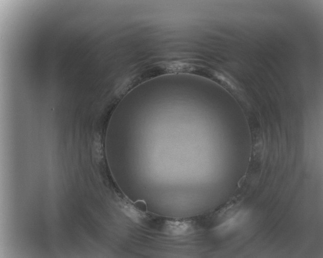 X0000064040469200602031602