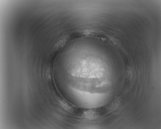 X0000064040470200602031602