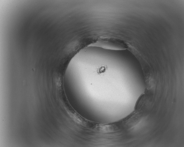 X0000064040472200602031602