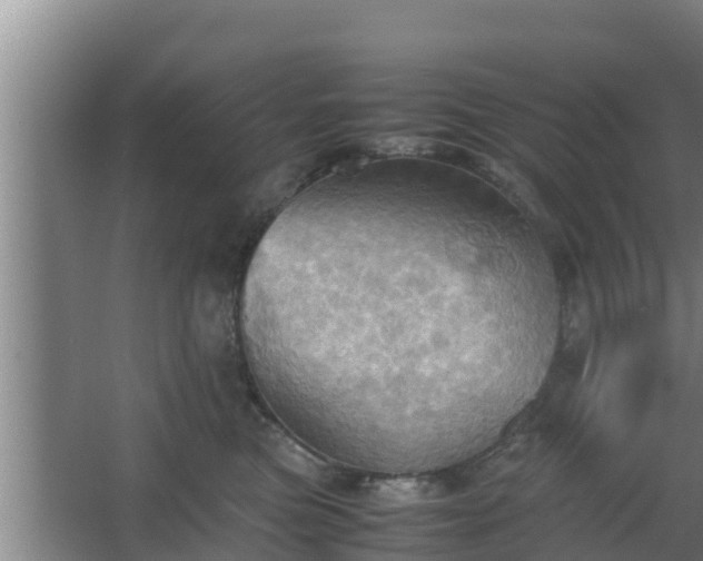 X0000064040473200602031602