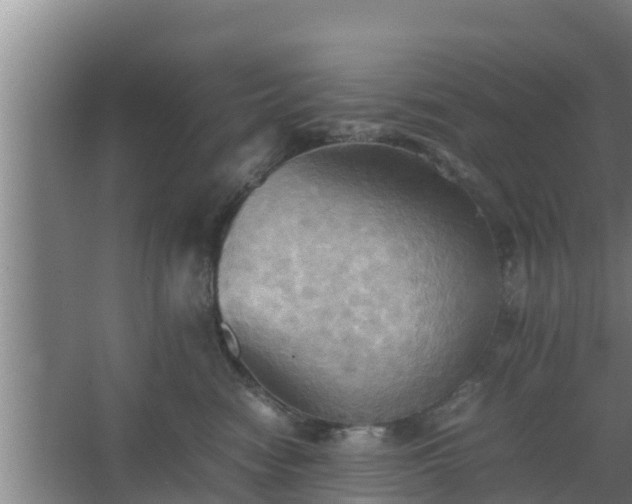 X0000064040474200602031602