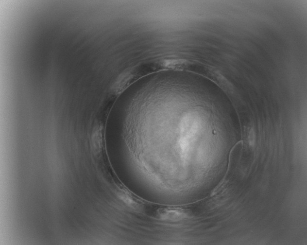 X0000064040475200602031602