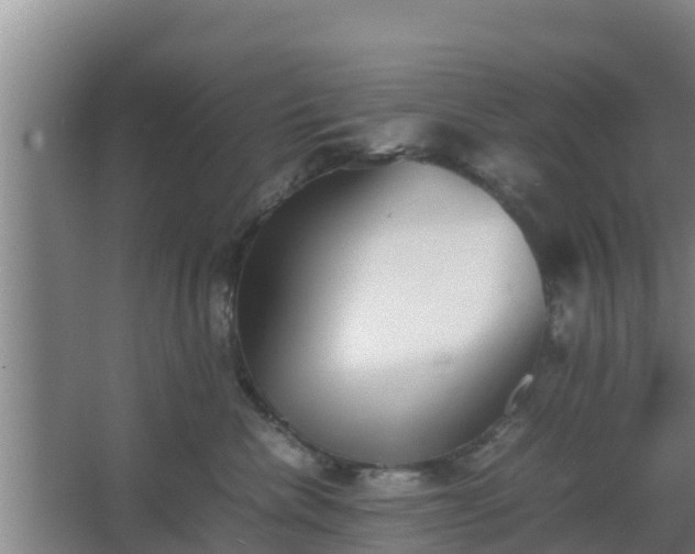 X0000064040476200602031602