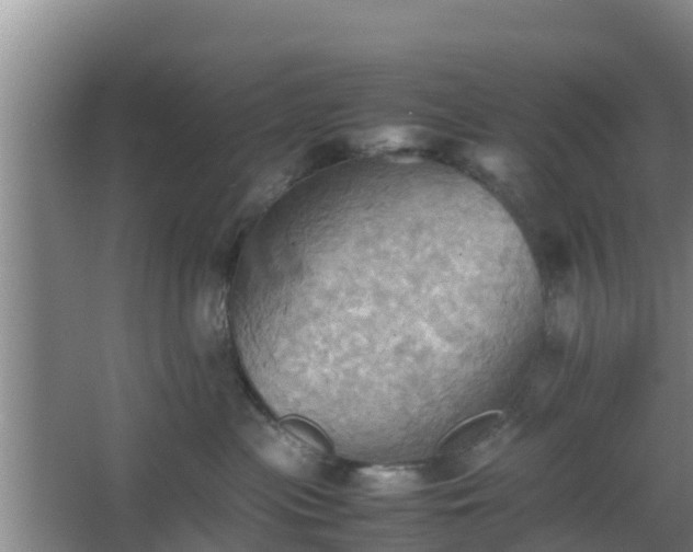 X0000064040477200602031602