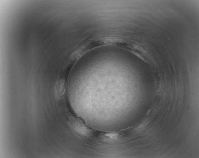 X0000064040478200602031602