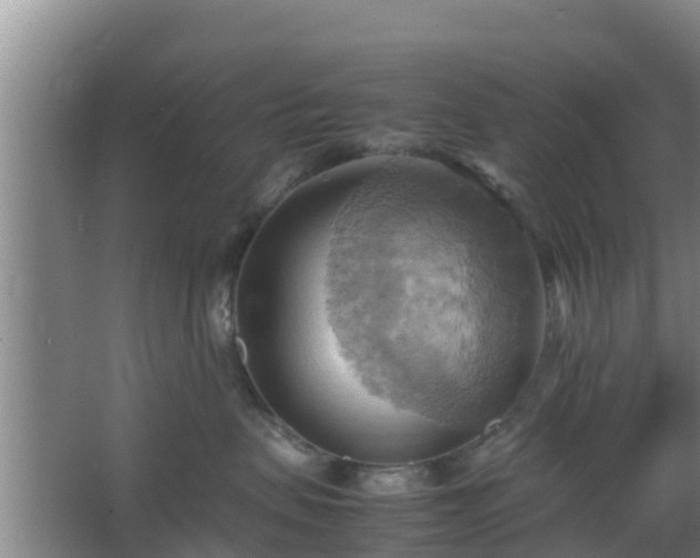 X0000064040479200602031602