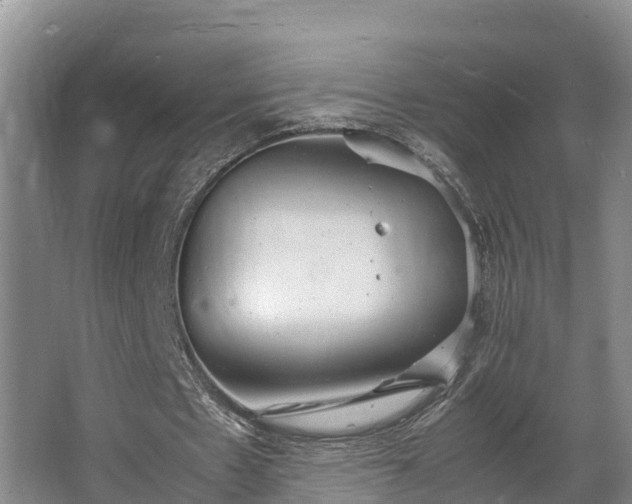 X0000064040481200602031601