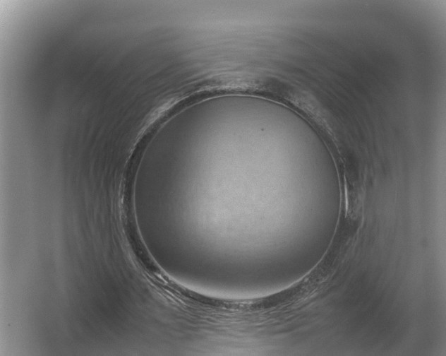 X0000064040483200602031601