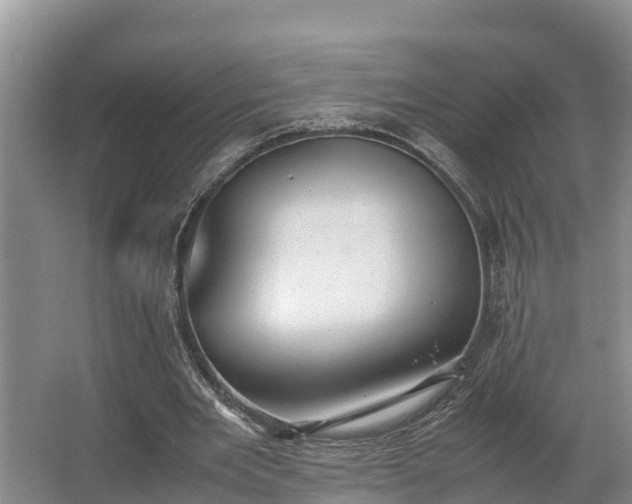 X0000064040485200602031601